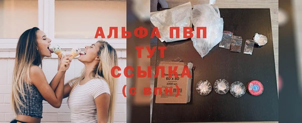 соль ск Инсар