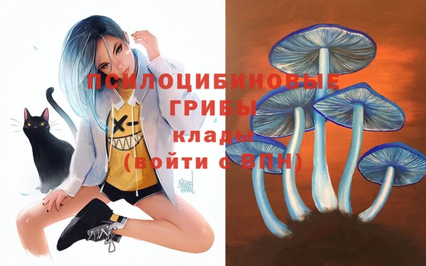 мдпв Касимов
